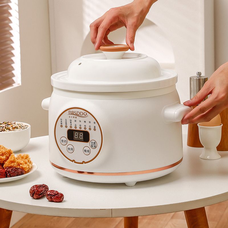 Electric stew pot Multifunctio - Baby Food Youtube review and price