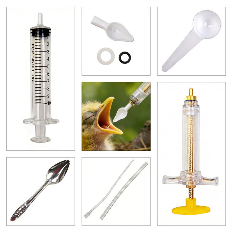 Precise Baby Bird Feeder Profe - Baby Food Youtube review and price